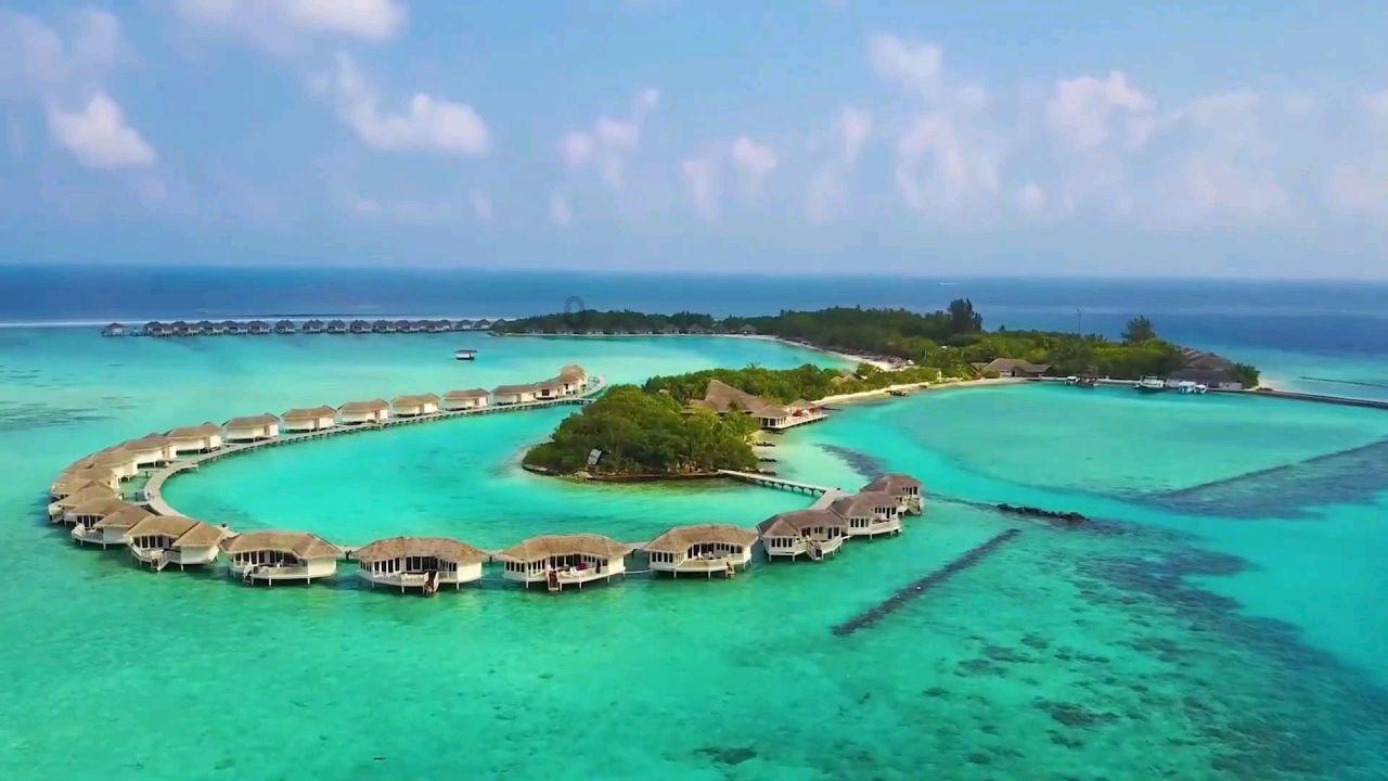 冷知识分享平台 - 用完面膜后洗脸好还是不洗好