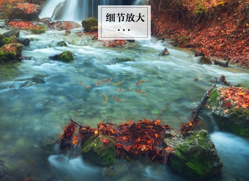 精灵的故事