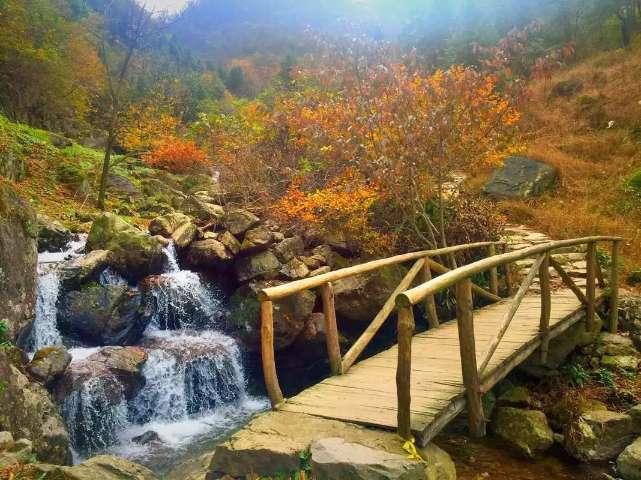 《仙剑四》面临强竞争，许凯新剧《你比星光美丽》期待值上涨